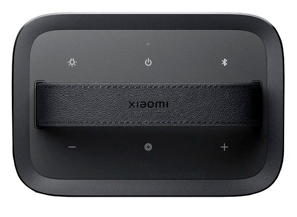 Портативная колонка Xiaomi Outdoor Bluetooth Speaker (ASM06A) Black