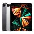 iPad Pro 12,9 (5 gen) (2021)