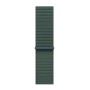 Apple Watch SE (2024), 44 мм корпус из алюминия цвета «Starlight», ремешок Sport Loop цвета «Lake Green»