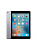 iPad Pro 9,7 (1, 2 gen)