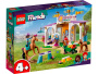Конструктор LEGO Friends - Тренировка лошадей (41746)