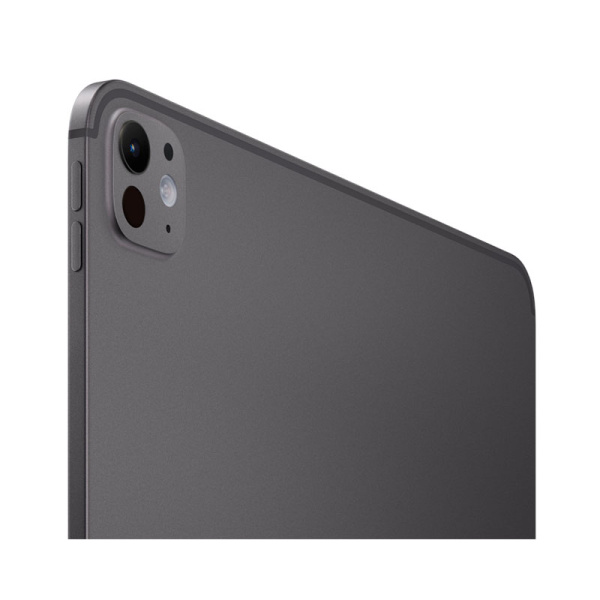 Apple iPad Pro 13" (M4, 2024) Wi-Fi + Cellular 1Tb Space Black, «черный космос»