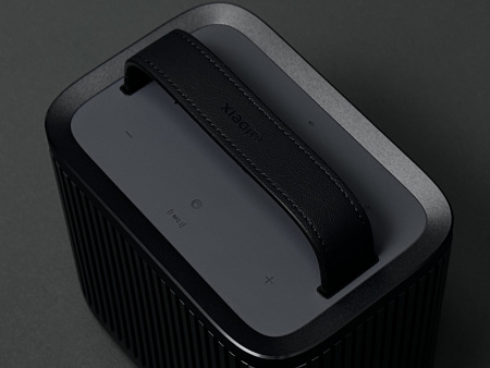 Портативная колонка Xiaomi Outdoor Bluetooth Speaker (ASM06A) Black
