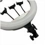 Кольцевая лампа LED RGB Soft Ring Light MJ56cm (без штатива)