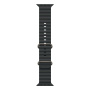 Apple Watch Ultra 2 (2024), 49 мм корпус из титана цвета «Natural», ремешок Ocean Band цвета «Black»