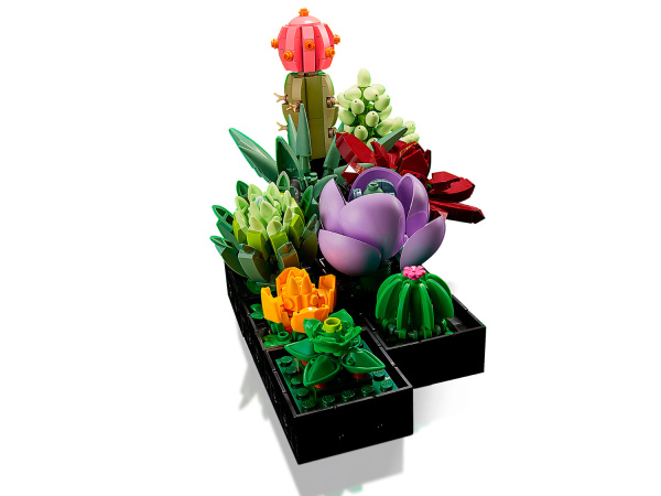 Конструктор LEGO Коллекционные наборы - Суккуленты (10309)
