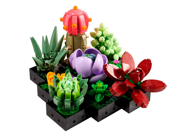 Конструктор LEGO Коллекционные наборы - Суккуленты (10309)