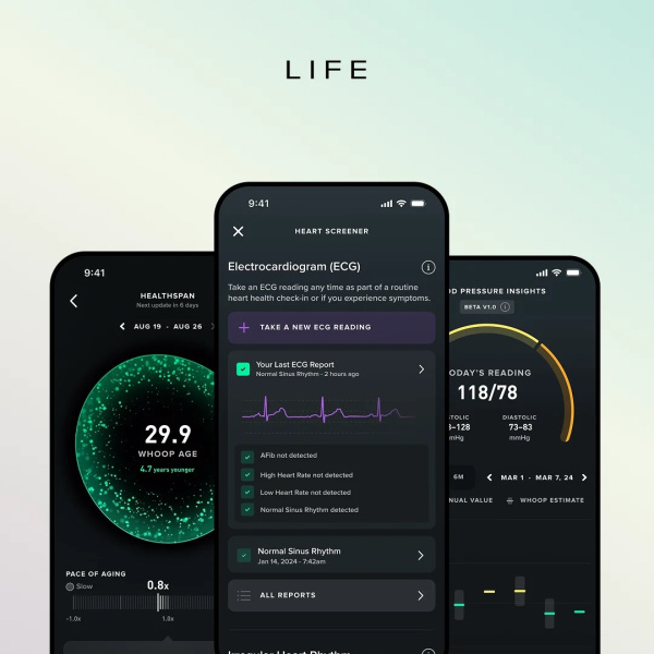 Фитнес-браслет Whoop Life (MG) с подпиской на 1 год (Whoop 5.0)