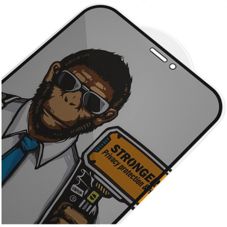 Приватное стекло Blueo 2.5D Silk full cover Anti-peep 0.26 мм для iPhone 14 Pro Max с черной рамкой (NPB14-14pro-6.7)