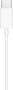 Наушники Apple EarPods с разъёмом USB-C, белый