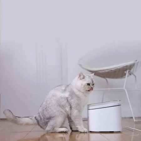 Автопоилка для животных Xiaomi Petoneer Smart Pet Water Dispenser 2L, Белый XWWF01MG (CN)