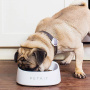 Миска-весы для домашних животных Xiaomi PetKit Smart Weighing Bowl, White (P510)
