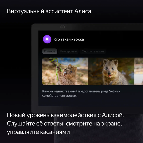 Умная колонка Яндекс.Станция Дуо Макс с Zigbee, Черный