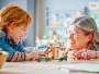 Конструктор LEGO Friends - Тренировка лошадей (41746)