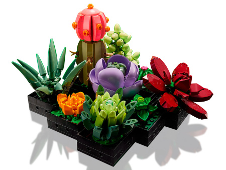 Конструктор LEGO Коллекционные наборы - Суккуленты (10309)