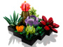 Конструктор LEGO Коллекционные наборы - Суккуленты (10309)