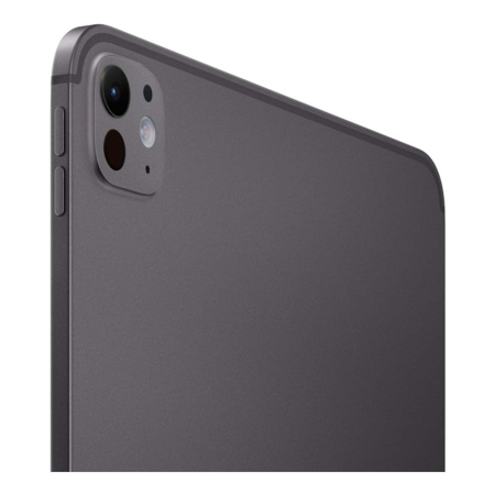 Apple iPad Pro 11" (M5, 2025) Wi-Fi 256Gb Space Black, «черный космос»