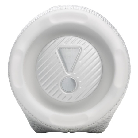 Портативная колонка JBL Charge 6, Белый