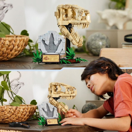 Конструктор LEGO Jurassic World - Череп тираннозавра (76964)