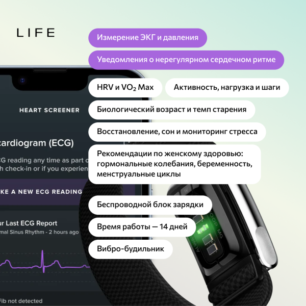 Фитнес-браслет Whoop Life (MG) с подпиской на 1 год (Whoop 5.0)
