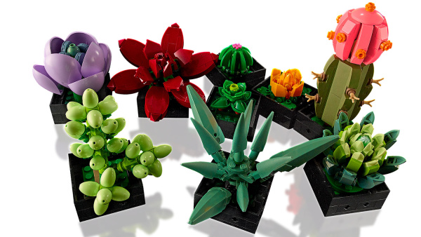 Конструктор LEGO Коллекционные наборы - Суккуленты (10309)