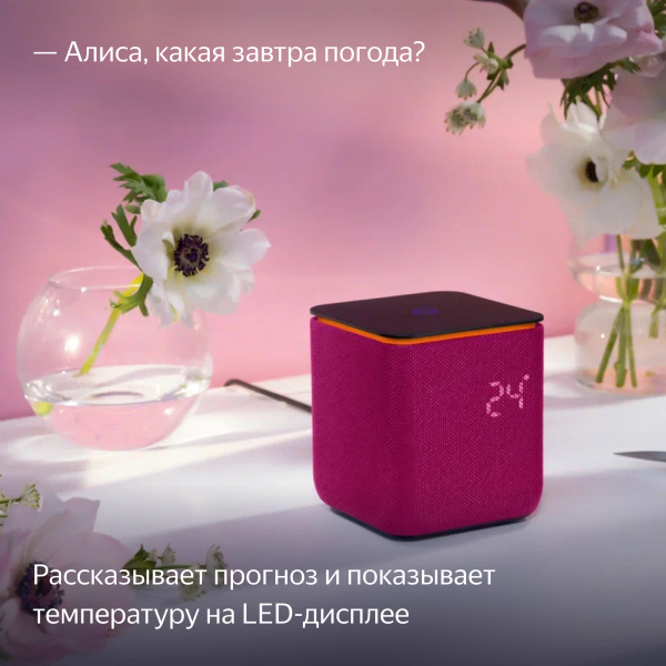 Умная колонка Яндекс Станция Миди, Малиновый