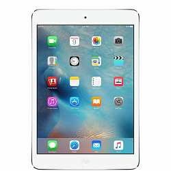 iPad mini 2