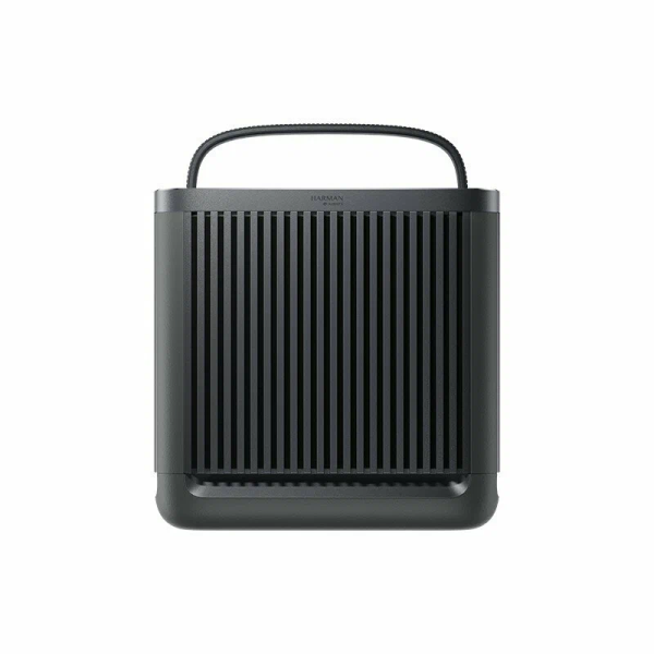 Портативная колонка Xiaomi Outdoor Bluetooth Speaker (ASM06A) Black