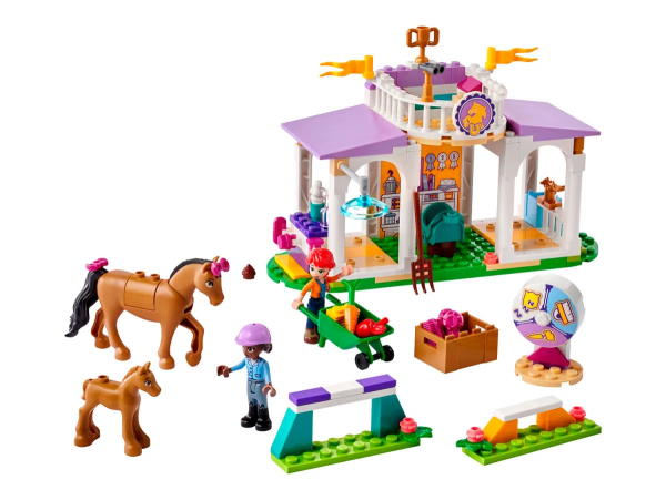 Конструктор LEGO Friends - Тренировка лошадей (41746)