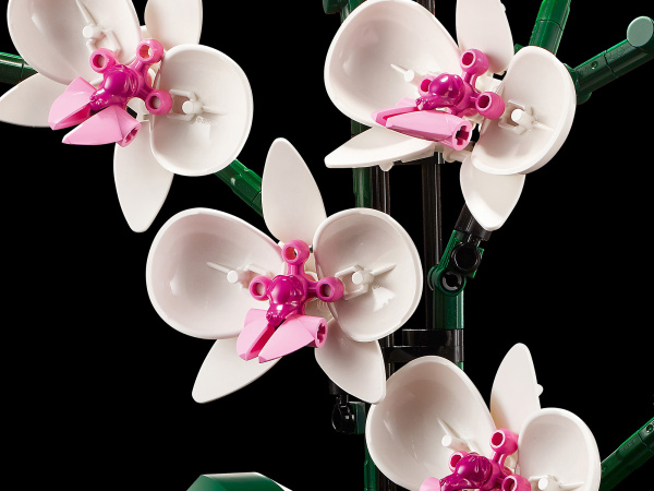 Конструктор LEGO Creator - Орхидея (10311)