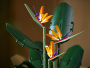 1Bc319tFO1.jpg