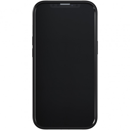 Чехол Richmond & Finch для iPhone 13 Pro Max, цвет "Изумрудная зебра" (Emerald Zebra) (R47005)