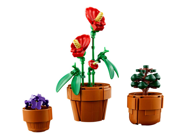 Конструктор LEGO Icons - Миниатюрные растения (10329)