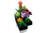 Конструктор LEGO Коллекционные наборы - Суккуленты (10309)