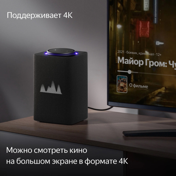 Умная колонка Яндекс. Станция Макс с Zigbee, Graphite, графитовый (YNDX-00052K)