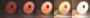 cNAaKLMmtV.png