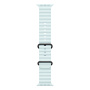 Apple Watch Ultra 2 (2024), 49 мм корпус из титана цвета «Black», ремешок Ocean Band цвета «Ice Blue»