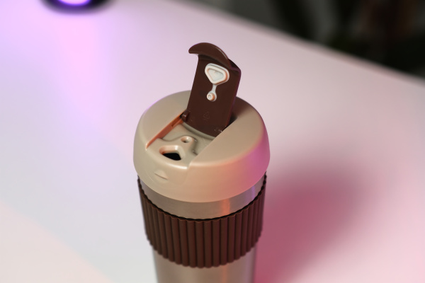 Термокружка Xiaomi Kiss Kiss Fish Rainbow S-U45C 490ml Brown