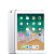 iPad 6 (2018)