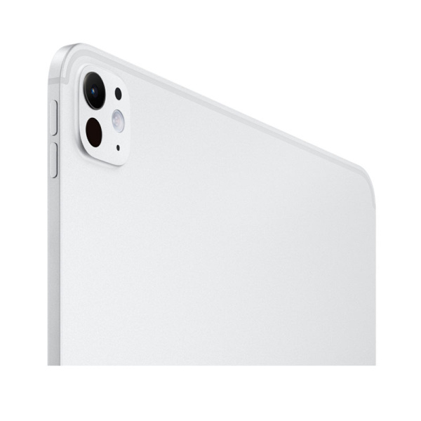 Apple iPad Pro 11" (M4, 2024) Wi-Fi 256Gb Silver, серебристый