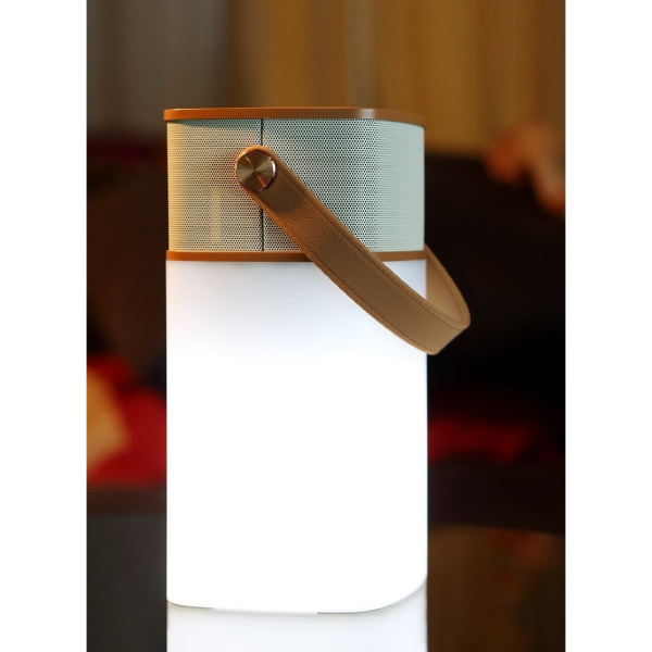 Bluetooth колонка портативная Rock Mulite Bluetooth Speaker Coffee