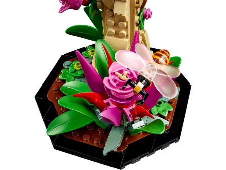 Конструктор LEGO Ideas - Насекомые (21342)