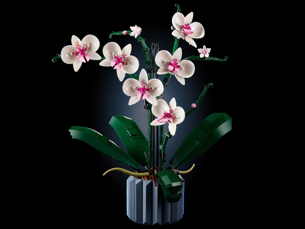 Конструктор LEGO Creator - Орхидея (10311)