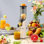 Соковыжималка Xiaomi Zhenmi Kitchen Juicer (ZMGZ-J10)