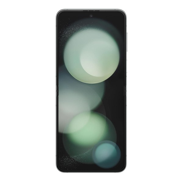 Samsung Galaxy Z Flip5 (2023) 256Gb Мятный