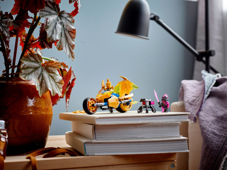 Конструктор LEGO Ninjago - Мотоцикл Джея «Золотой дракон» (71768)